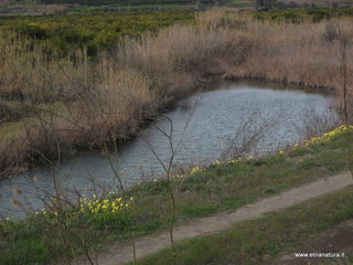lle del Simeto-24-02-2013 11-40-55